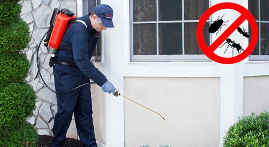 Niğde Akrep İlaçlama böcek ilaçlama ve haşere kontrolü — ilaclama-tr.com
